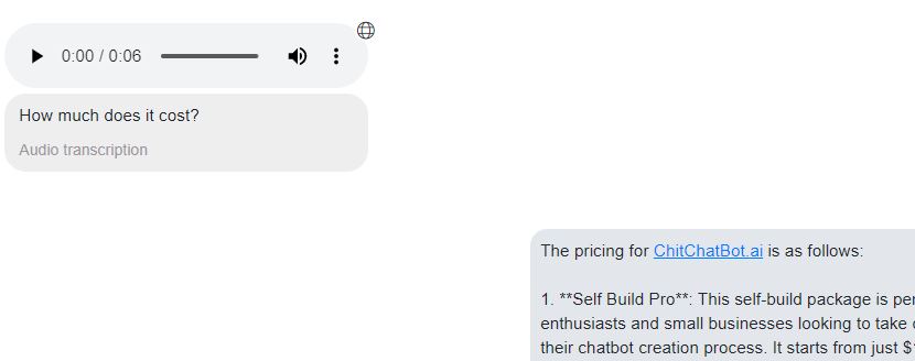 audio transcribe - ChitChatBot - AI Bot Building Platform